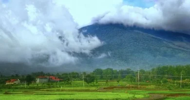 Mengenal Desa Wisata Cibuntu, Begini Aktivitas Seru yang Bisa Dilakukan